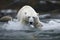 Polar bear hunting in water, Generative AI