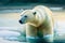 Polar Bear on Ice - Arctic Wildlife Illustration, Generative Ai