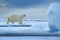 Polar bear on ice with snow and big ice hill. Dangerous white bear observing its habitat. In search of food. Wildlife scene from A