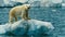 Polar bear on an iceberg drifting in the ocean created with Generative AI. Endangered mammal.