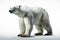 Polar bear isolated on a white background. 3d illustration Ai Generative