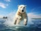 polar bear leaping on ice