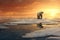 Polar bear on melting ice floe in arctic sea, digital ai