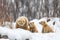 polar bear mother watches over her cubs as they wrestle in the snow