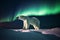 Polar bear with Northern Lights, Aurora Borealis. Night image with stars, dark sky. Generative AI.