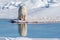 Polar bear reflects in glacier pond near Spitsbergen, Norway