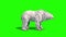 Polar BEAR Roar Dies Side Green Screen 3D Rendering Animation