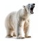 Polar Bear Roaring Isolated on White Background. Generative ai