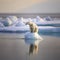 polar bear sitting on lonely piece of ice