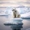 polar bear sitting on lonely piece of ice