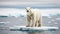 Polar bear standing on small iceberg in the middle of the ocean. Generated with AI