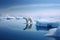 A polar bear stands on a dissolving ice shelf amidst the vastness of the sea, representing the idea of planetary warming and its