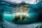 Polar bear swimming in icy water