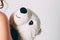 Polar bear toy on hands of young woman on gray background isolated