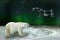 Polar bear and Ursa Major Great Bear constellation