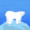 Polar Bear Ursus Maritimus on Piece of Ice