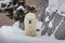 A polar bear walking around rock on snow