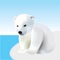 Polar bear youngling on the iceberg