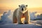 Polar bears majestic presence on a vast, icy platform