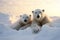 Polar bears snow arctic cold. Generate Ai