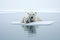 Polar bears snow arctic. Generate Ai