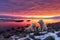 polar bears under the mesmerizing glow of winter solstice sunset