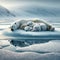 Polar Dreamland: Family of Polar Bears Snoozing on Ice