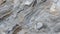 Polar Frost Granite: Frosty Textured Delight. AI Generate