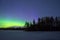 Polar northen lights aurora borealis at night in the starry sky above the lake with the island and the silhouette trees by the for