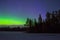 Polar northen lights aurora borealis at night in the starry sky above the lake with the island and the silhouette trees by the for