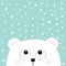 Polar white little small bear cub head face looking up to snow flake.