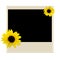 Polaroid with sunflower