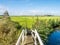 Polder landscape with bridge, path and pasture near Workum, Friesland, Netherlands