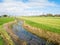 Polder landscape with pasture and ditch near Workum, Friesland,