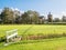 Polder landscape with pasture and Great Church of Workum, Friesland, Netherlands