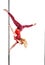 Pole dance girl, pole fitness