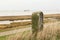 A pole at the seawall along the westerschelde closeup and the sea and marsh in the background in winter