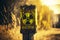 Pole standing in field with yellow black metallic radiation hazard sign