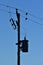 Pole supporting electric wires