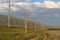 Poles with electric wires in the field