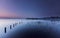 Poles and reed in a mystic lake at dawn