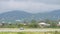 Police car disperse birds on the from the runway strip - Georgia