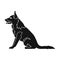 Police dog for detaining criminals. Trained shepherd for prison.Prison single icon in black style vector symbol stock