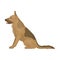 Police dog for detaining criminals. Trained shepherd for prison.Prison single icon in cartoon style vector symbol stock