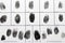 Police form with fingerprints, top view.