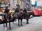 Police on Horses in New York City