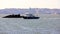 Police motor boats of the NYPD Harbor Unit approaching pier at Brooklyn Army Terminal