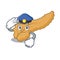 Police pancreas character cartoon style