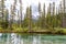 Policeman Creek in Canmore with Three Sisters mountain peaks in background