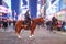 Policeman on horse in Times Square, New York City